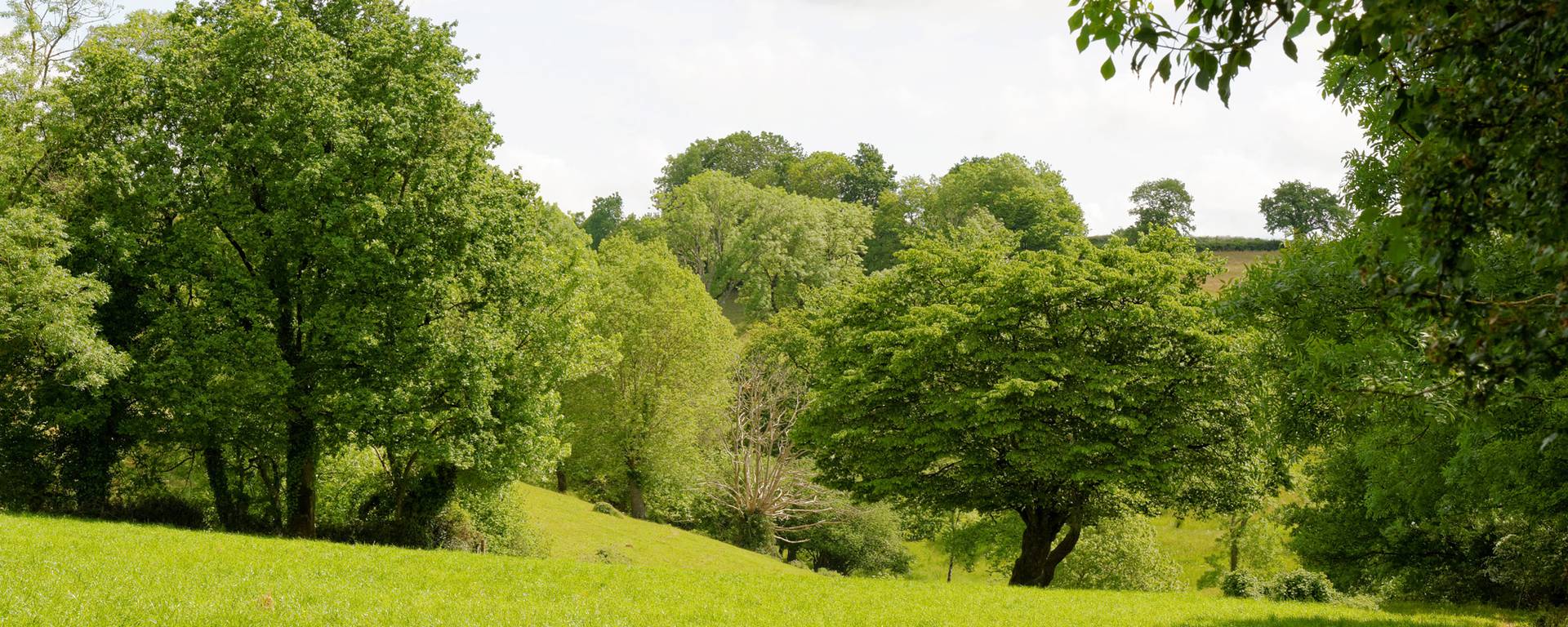 Randonnées avec l'Office de Tourisme du Bocage Bressuirais