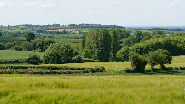 Les Guerres de Vendée en Bocage Bressuirais